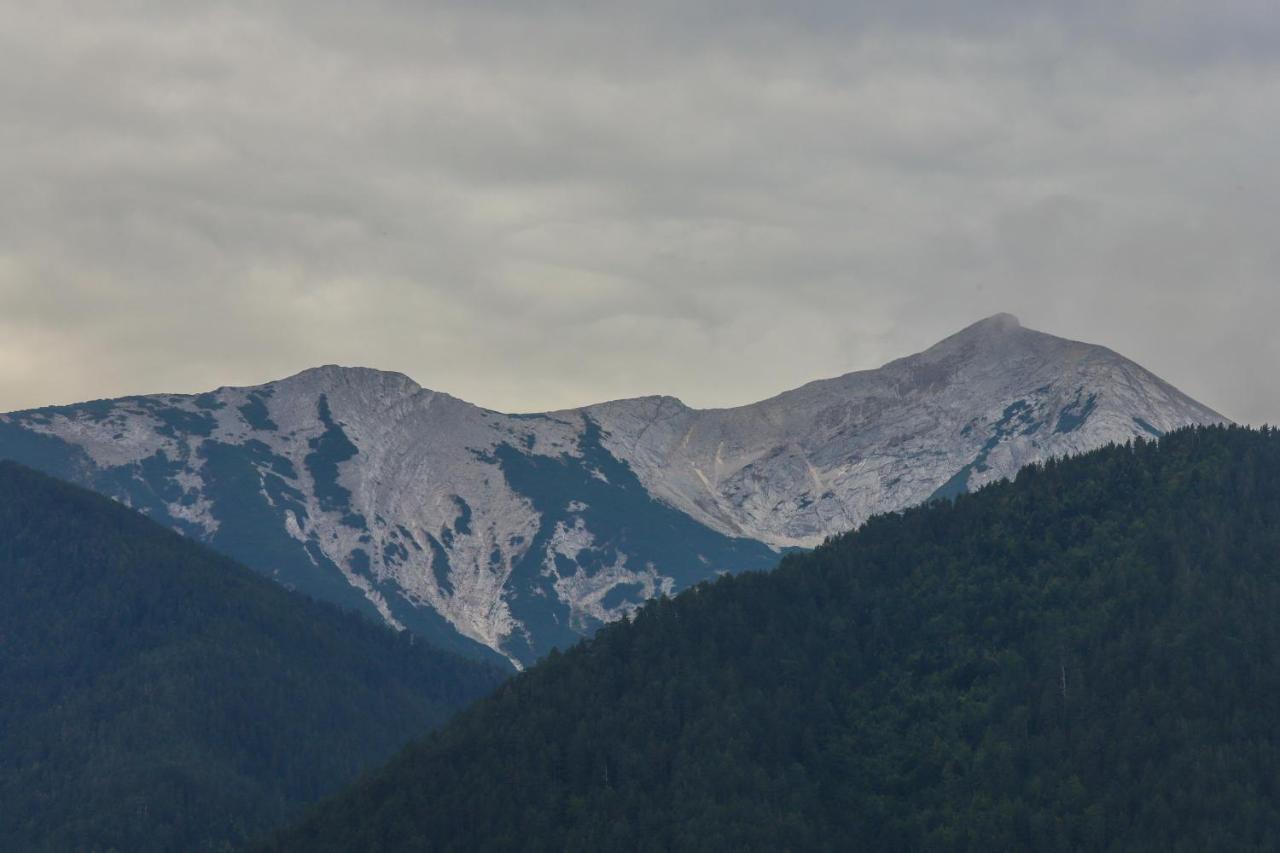 Mountain Hawk Park Villa Bansko Ngoại thất bức ảnh